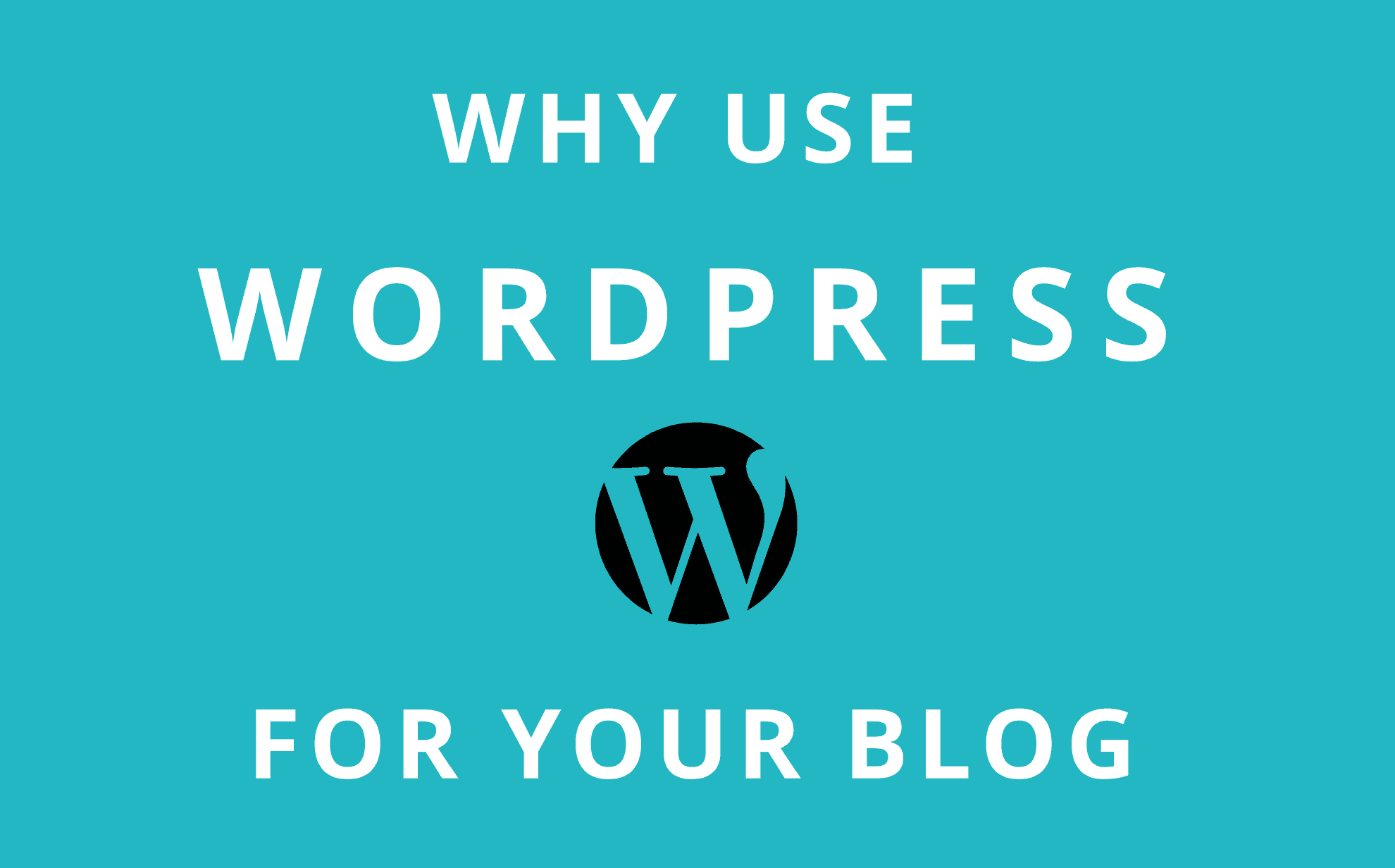 Why Use Wordpress Software For Your Blog? 